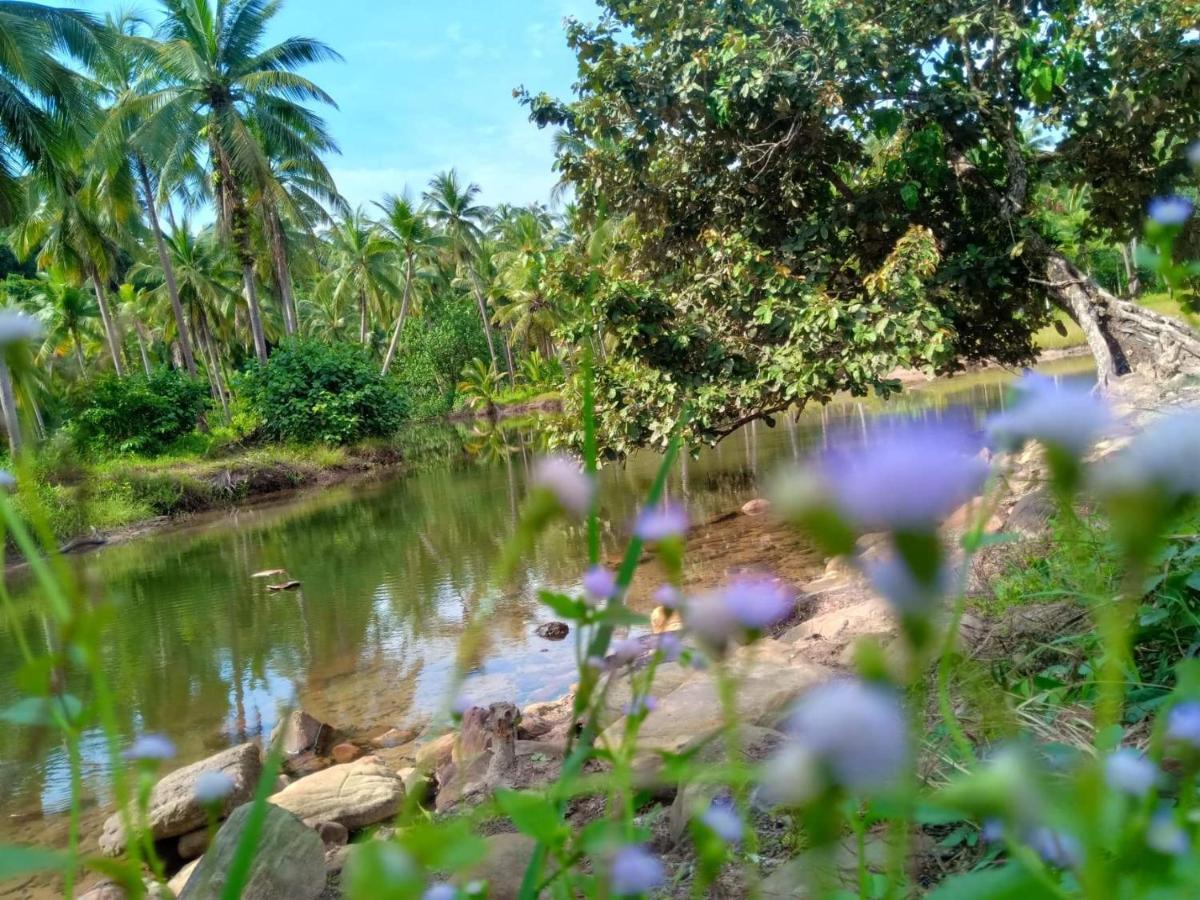 Walk In Homestay Ko Kut Exterior foto